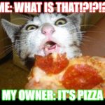 WHAT IS THAT | ME: WHAT IS THAT!?!?!?! MY OWNER: IT'S PIZZA | image tagged in what is that | made w/ Imgflip meme maker