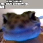 big boi jonson | ME:; FRIEND: YOU CAN'T MAKE A MEME OF YOUR OWN PET | image tagged in big boi jonson | made w/ Imgflip meme maker