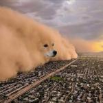 dust storm doge meme