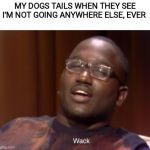 Wack | MY DOGS TAILS WHEN THEY SEE I'M NOT GOING ANYWHERE ELSE, EVER | image tagged in wack | made w/ Imgflip meme maker