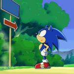 Sonic Signpost