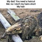 Scp 682 | My dad: You need a haircut
Me: no I don't my hairs short
My hair: | image tagged in scp 682 | made w/ Imgflip meme maker
