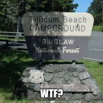 Tillicum Beach | WTF? | image tagged in tillicum beach | made w/ Imgflip meme maker