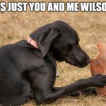 It's just you and me Wilson | IT'S JUST YOU AND ME WILSON! | image tagged in it's just you and me wilson | made w/ Imgflip meme maker