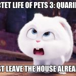 just leave | SECTET LIFE OF PETS 3: QUARIENE; JUST LEAVE THE HOUSE ALREADY | image tagged in snowball - the secret life of pets | made w/ Imgflip meme maker