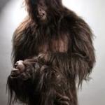 sasquatch