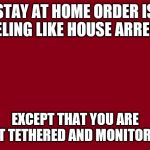 Stay at Home | STAY AT HOME ORDER IS FEELING LIKE HOUSE ARREST; EXCEPT THAT YOU ARE NOT TETHERED AND MONITORED | image tagged in stay at home | made w/ Imgflip meme maker