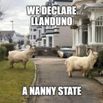 Goat takeover bid | WE DECLARE
LLANDUNO; A NANNY STATE | image tagged in goats,nanny state | made w/ Imgflip meme maker