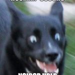 Scared Doggo | HOOMAN *COUGHS; NOIBOR HRLP | image tagged in scared doggo | made w/ Imgflip meme maker
