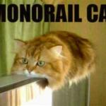 Monorail cat