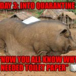 Fat Animal | DAY 3: INTO QUARANTINE; “NOW YOU ALL KNOW WHY I NEEDED TOILET PAPER” 🧻 | image tagged in fat animal | made w/ Imgflip meme maker