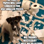 Future service dog in the making. | THE TOILET PAPER WILL LAST LONGER IF YOU USE SMALLER PIECES; NO THANKS NECESSARY 
IT WAS MY PLEASURE | image tagged in dog destroys toilet paper,toilet paper,puppy,coronavirus | made w/ Imgflip meme maker