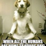 Inner Peace Dog | WHEN ALL THE HUMANS ARE HOME 24 HOURS DAY! | image tagged in inner peace dog | made w/ Imgflip meme maker