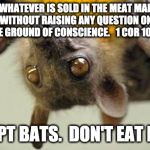 Fruit bats | EAT WHATEVER IS SOLD IN THE MEAT MARKET
 WITHOUT RAISING ANY QUESTION ON
 THE GROUND OF CONSCIENCE.   1 COR 10:25; EXCEPT BATS.  DON'T EAT BATS. | image tagged in fruit bats | made w/ Imgflip meme maker