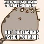 Y U NO PUSHEEN | WHEN YOU JUST FINISHED YOUR LATE HOMEWORK; BUT THE TEACHERS ASSIGN YOU MORE | image tagged in y u no pusheen | made w/ Imgflip meme maker