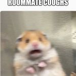 paniked hamster | YOUR ROOMMATE COUGHS; YOU: | image tagged in paniked hamster | made w/ Imgflip meme maker