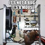 It's not a bug, it's a mouse | IT'S NOT A BUG,
 IT'S A MOUSE | image tagged in it's not a bug it's a mouse | made w/ Imgflip meme maker