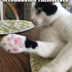 Business cat | PEOPLE INTRODUCING THEMSELVES; BEFORE 2020 | image tagged in business cat | made w/ Imgflip meme maker