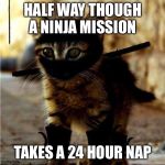 Ninja Cat | HALF WAY THOUGH A NINJA MISSION; TAKES A 24 HOUR NAP | image tagged in ninja cat | made w/ Imgflip meme maker