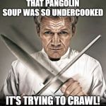 Chef Ramsay | THAT PANGOLIN SOUP WAS SO UNDERCOOKED; IT'S TRYING TO CRAWL! | image tagged in chef ramsay | made w/ Imgflip meme maker