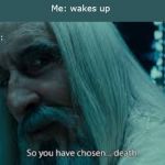 So you have chosen death | Me: wakes up; My sister: | image tagged in so you have chosen death | made w/ Imgflip meme maker