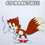 DANK TAILS | 420 IN A NUTSHELL! | image tagged in dank tails | made w/ Imgflip meme maker