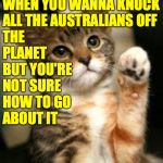 Hang on, mates! | WHEN YOU WANNA KNOCK
ALL THE AUSTRALIANS OFF
THE
PLANET
BUT YOU'RE
NOT SURE
HOW TO GO
ABOUT IT | image tagged in cute cat,memes,australia | made w/ Imgflip meme maker