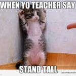 When your choir teacher tells you you to stand up tall | WHEN YO TEACHER SAY; STAND TALL | image tagged in when your choir teacher tells you you to stand up tall | made w/ Imgflip meme maker