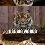 Bad Pun Tiger | HOW DO YOU TALK TO A GIANT? USE BIG WORDS; GET IT? | image tagged in bad pun tiger | made w/ Imgflip meme maker