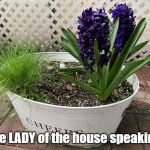 Hyacinth Bucket | "The LADY of the house speaking." | image tagged in hyacinth bucket | made w/ Imgflip meme maker