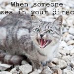 Hissing Cat | When someone sneezes in your direction | image tagged in hissing cat,coronavirus,covid-19,memes | made w/ Imgflip meme maker