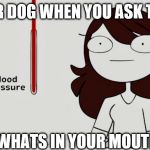 Jaiden animations blood pressure | YOUR DOG WHEN YOU ASK THEM; WHATS IN YOUR MOUTH | image tagged in jaiden animations blood pressure | made w/ Imgflip meme maker