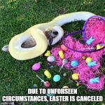 Easter Bunny | DUE TO UNFORSEEN CIRCUMSTANCES, EASTER IS CANCELED | image tagged in easter bunny | made w/ Imgflip meme maker