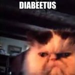 Diabeetus Cat | DIABEETUS | image tagged in diabeetus cat | made w/ Imgflip meme maker