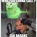 smudge | WHO YOU GONNA CALL ? ZAK BAGANS | image tagged in smudge | made w/ Imgflip meme maker