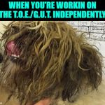 messy hair | WHEN YOU'RE WORKIN ON THE T.O.E./G.U.T. INDEPENDENTLY | image tagged in messy hair | made w/ Imgflip meme maker