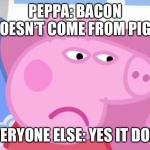 Angry Peppa Pig | PEPPA: BACON DOESN’T COME FROM PIGS; EVERYONE ELSE: YES IT DOES | image tagged in angry peppa pig | made w/ Imgflip meme maker