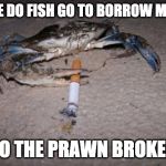 crab | WHERE DO FISH GO TO BORROW MONEY? TO THE PRAWN BROKER | image tagged in crab | made w/ Imgflip meme maker