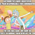 Rick and Morty | AUTHORITIES HAVE IDENTIFIED THE PAIR RESPONSIBLE FOR CORONAVIRUS THE CDC HAS SAID, "WE HAVE NO INTEREST IN HAVING THEM DEVELOP THE CURE" | image tagged in rick and morty | made w/ Imgflip meme maker