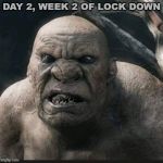 Lock down | DAY 2, WEEK 2 OF LOCK DOWN | image tagged in lock down | made w/ Imgflip meme maker