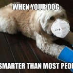 When Your Dog Insists On PPE | WHEN YOUR DOG; IS SMARTER THAN MOST PEOPLE | image tagged in dog with ppe,coronavirus,covid-19,made in china,memes,dogs | made w/ Imgflip meme maker