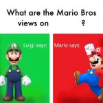 Mario Bros views reversed