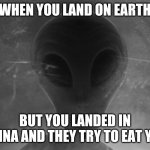 Alien | WHEN YOU LAND ON EARTH; BUT YOU LANDED IN CHINA AND THEY TRY TO EAT YOU | image tagged in alien | made w/ Imgflip meme maker