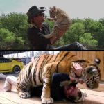 Tiger King meme