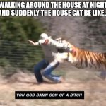 Joe exotic | WALKING AROUND THE HOUSE AT NIGHT AND SUDDENLY THE HOUSE CAT BE LIKE... | image tagged in joe exotic | made w/ Imgflip meme maker