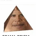 obama prism | Mom: The food isn't that hot!
The food: | image tagged in obama prism | made w/ Imgflip meme maker