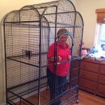 Granny in cage