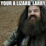 Your a wizard Harry  | YOUR A LIZARD, LARRY | image tagged in your a wizard harry | made w/ Imgflip meme maker
