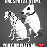 Dalmation Tattoo | ONE SPOT AT A TIME; YOU COMPLETE ME...❤ | image tagged in dalmation tattoo | made w/ Imgflip meme maker