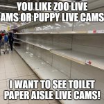 Live Cams | YOU LIKE ZOO LIVE CAMS OR PUPPY LIVE CAMS? I WANT TO SEE TOILET PAPER AISLE LIVE CAMS! | image tagged in live cams | made w/ Imgflip meme maker